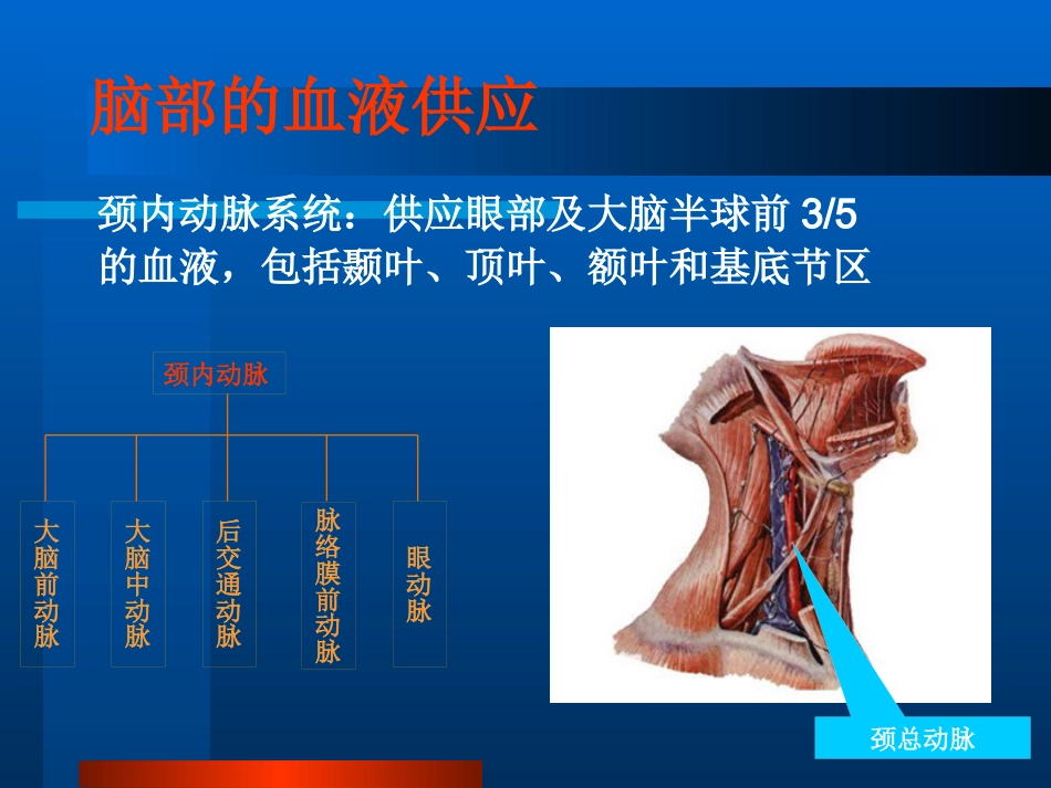 老年人神经系统疾_第7页