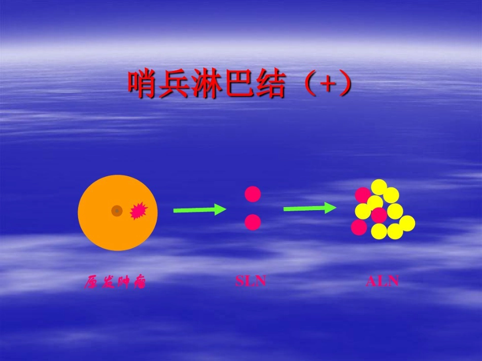 前哨淋巴结活检术在临床中应用_第10页