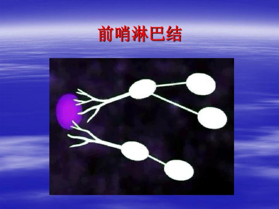 前哨淋巴结活检术在临床中应用_第8页