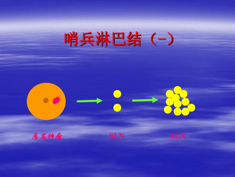 前哨淋巴结活检术在临床中应用_第9页