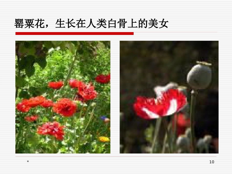 苯丙胺类兴奋剂所致精神障碍的临床诊治问题_第10页