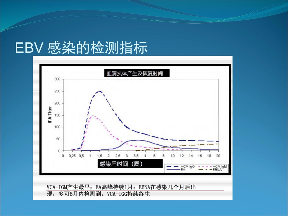 EB病毒的临床意义_第15页