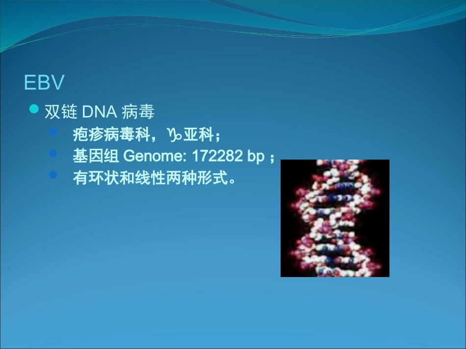 EB病毒的临床意义_第7页