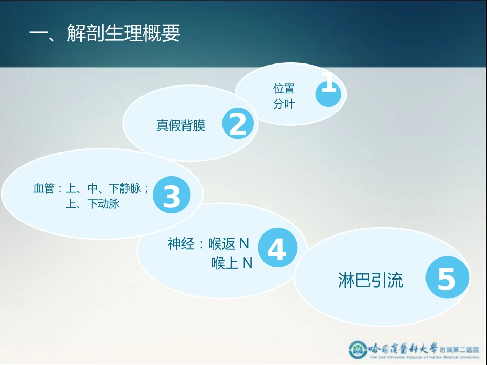 骨科-颈部疾病_第5页