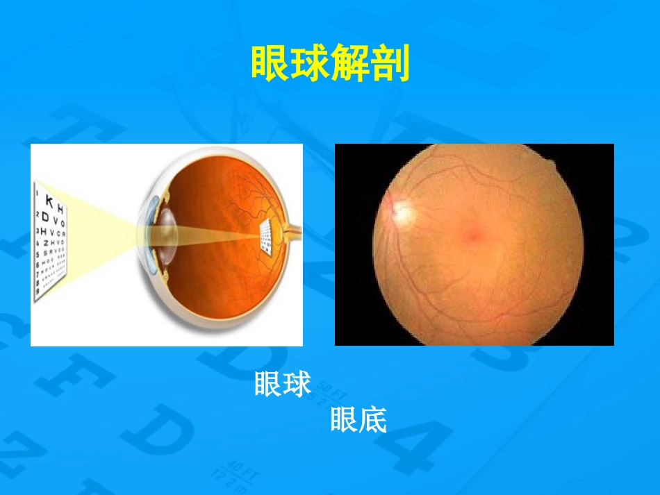 老年性黄斑变性防治_第5页
