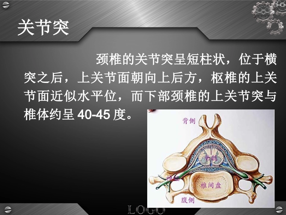 骨科-颈椎病详解_第14页