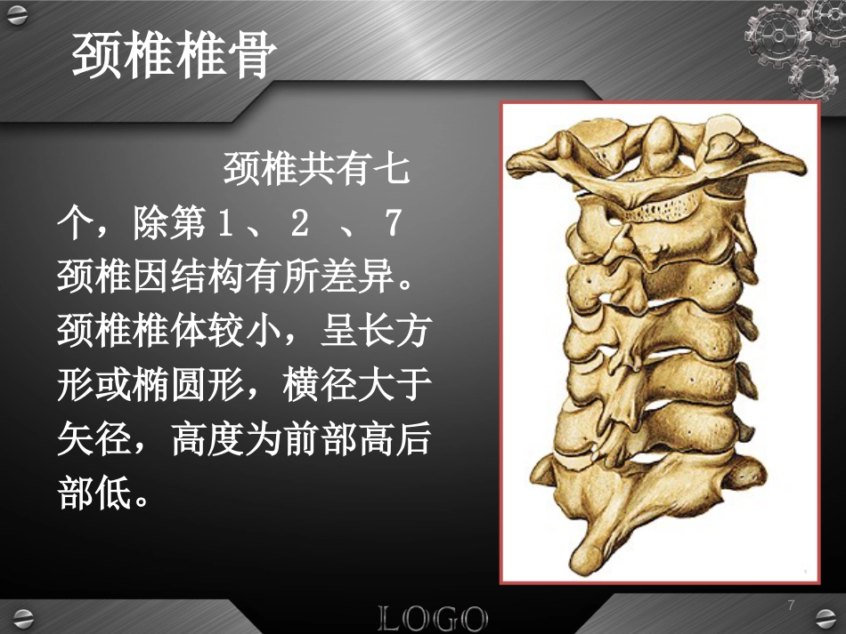 骨科-颈椎病详解_第7页