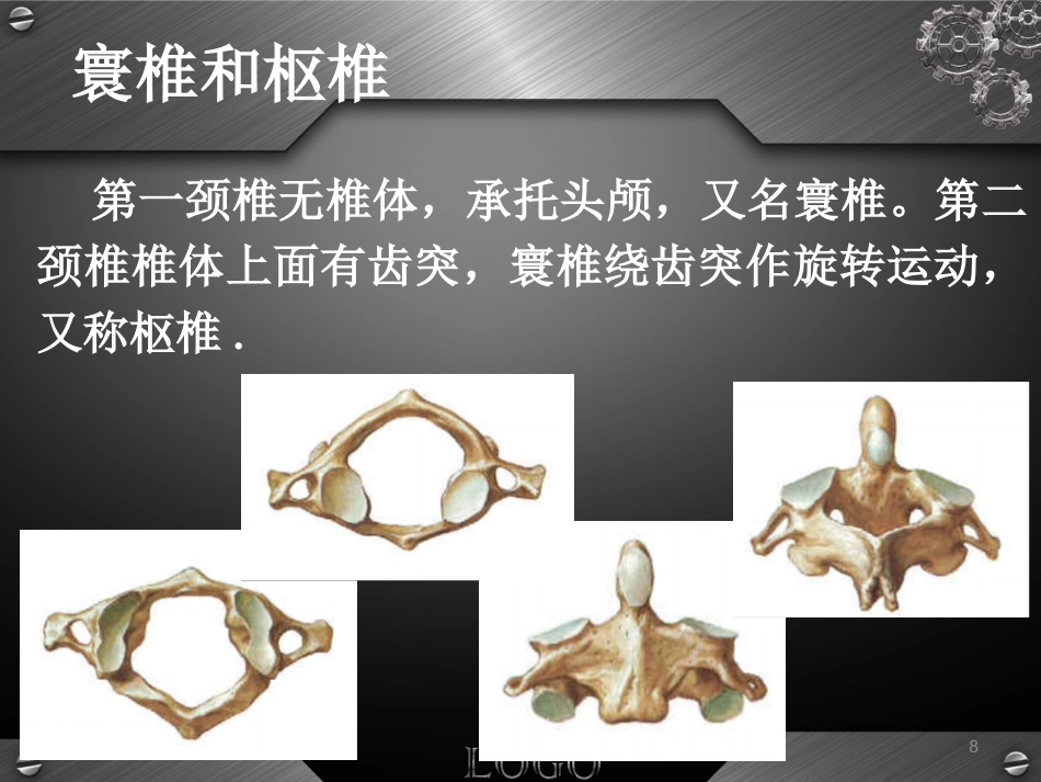 骨科-颈椎病详解_第8页