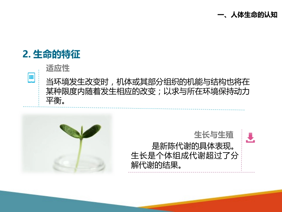 老年人生理特点及衰老机制的认知 人体生命、健康、寿命、疾病与衰老的_第11页
