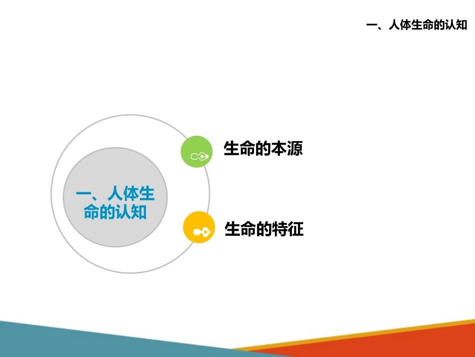 老年人生理特点及衰老机制的认知 人体生命、健康、寿命、疾病与衰老的_第8页