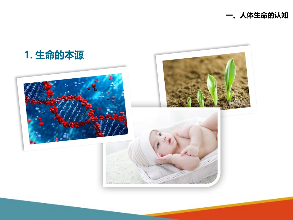 老年人生理特点及衰老机制的认知 人体生命、健康、寿命、疾病与衰老的_第9页