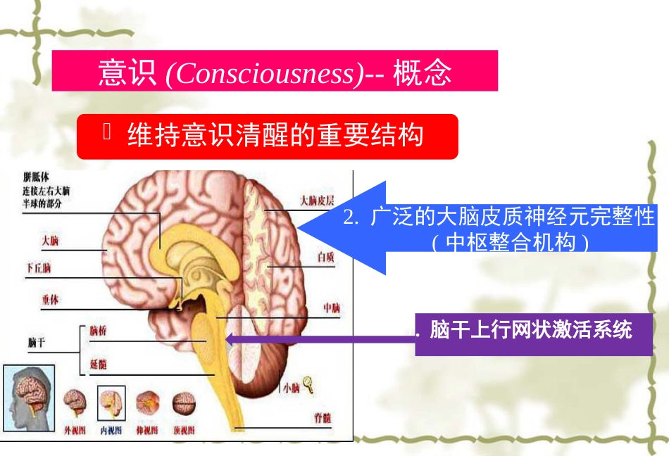 《临床医学概论》意识障碍_第3页