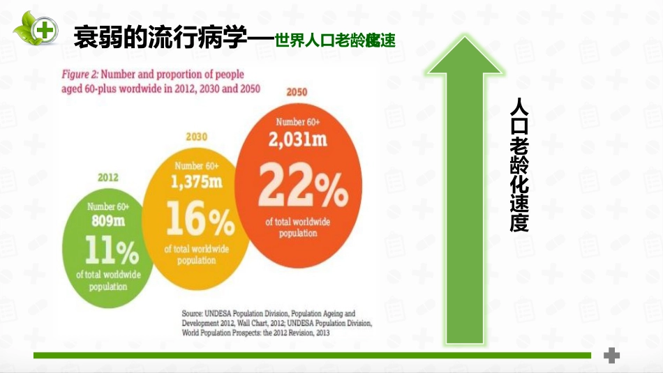 老年患者衰弱状态评估_第13页