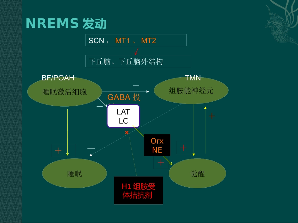 老年人睡眠障碍特点与诊治_第11页