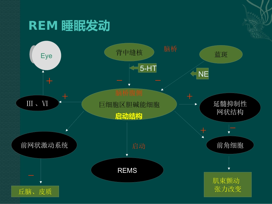老年人睡眠障碍特点与诊治_第12页