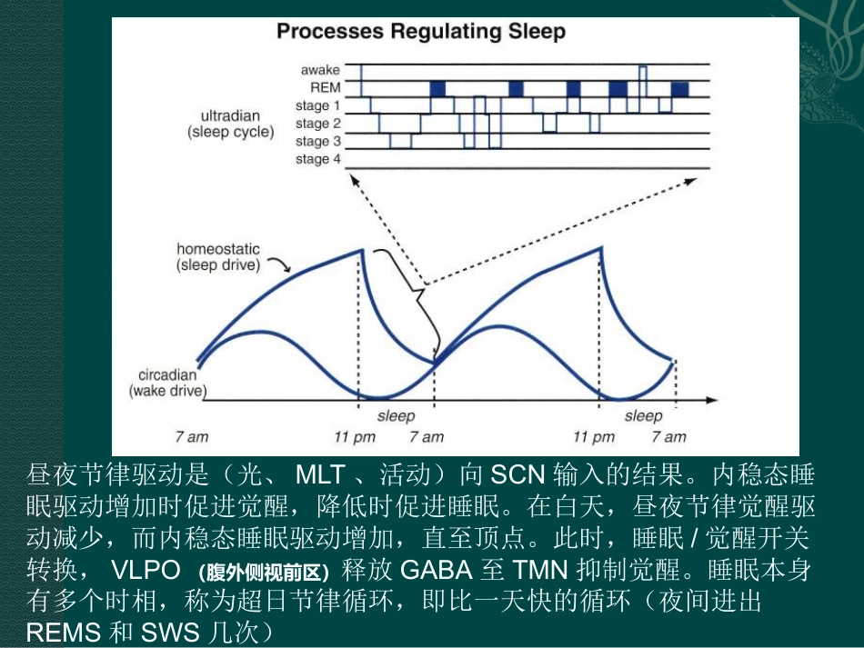 老年人睡眠障碍特点与诊治_第4页