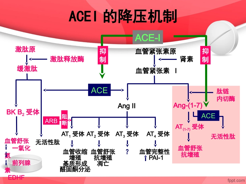 ACEI临床应用特点_第8页