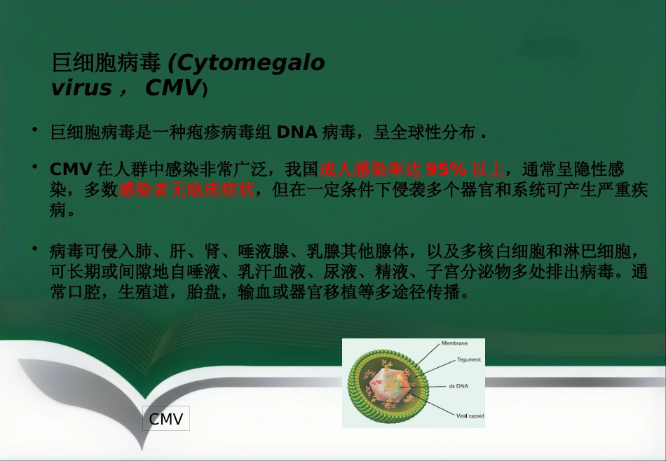 ToRCH检测流程及其临床应用_第10页