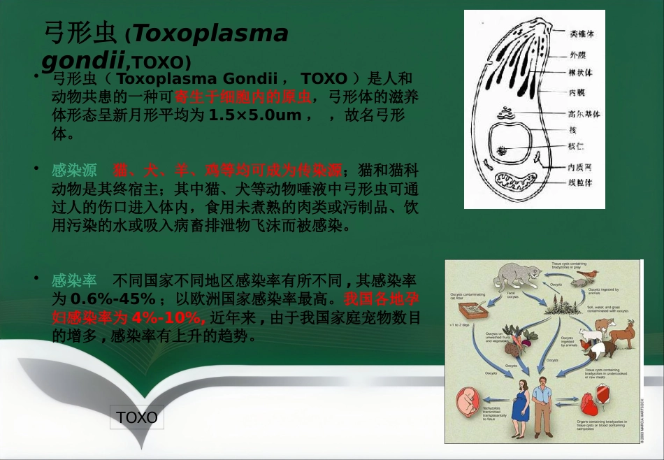 ToRCH检测流程及其临床应用_第6页