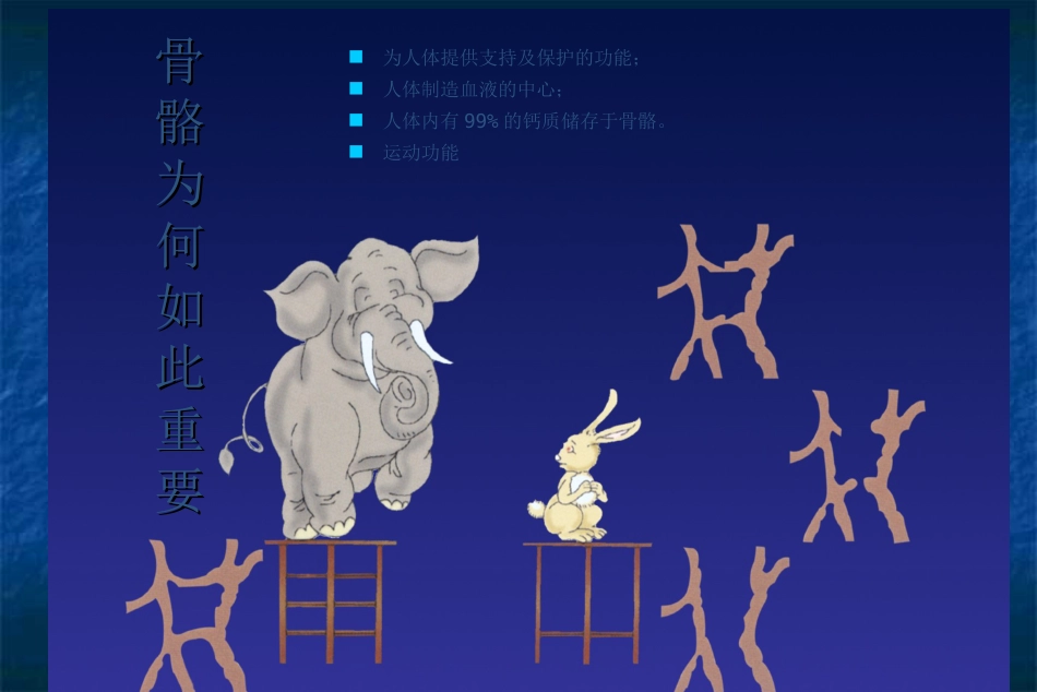 骨科-骨质疏松症ppt_第8页