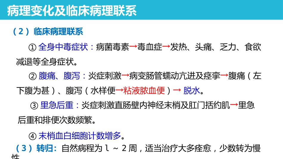 传染病 细菌性痢疾 病理学课件_第10页