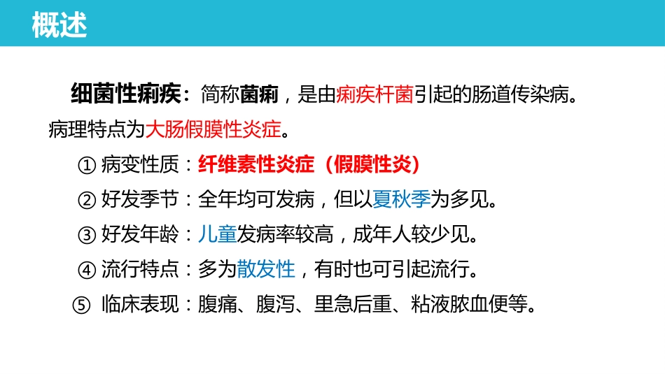 传染病 细菌性痢疾 病理学课件_第3页