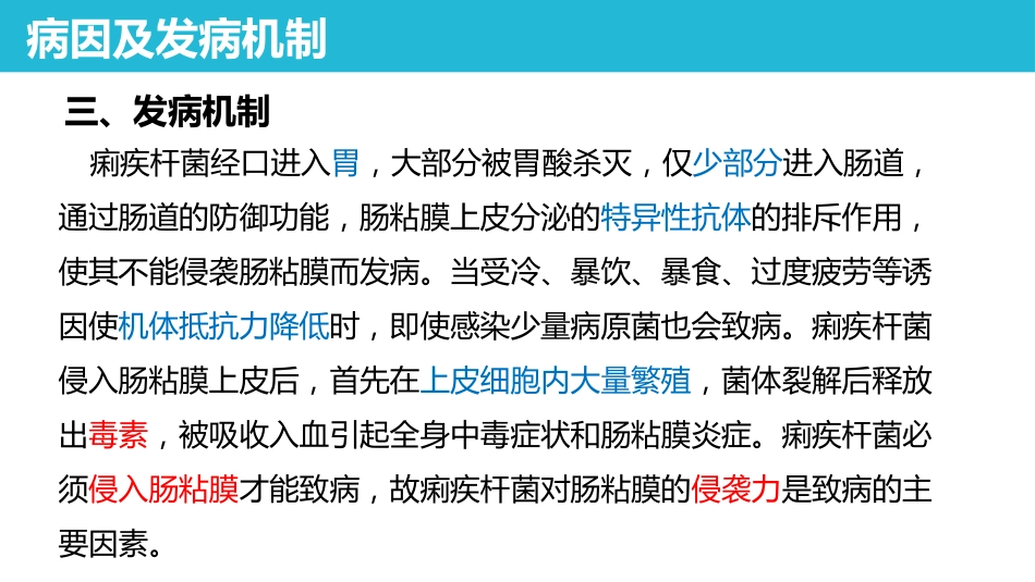 传染病 细菌性痢疾 病理学课件_第5页