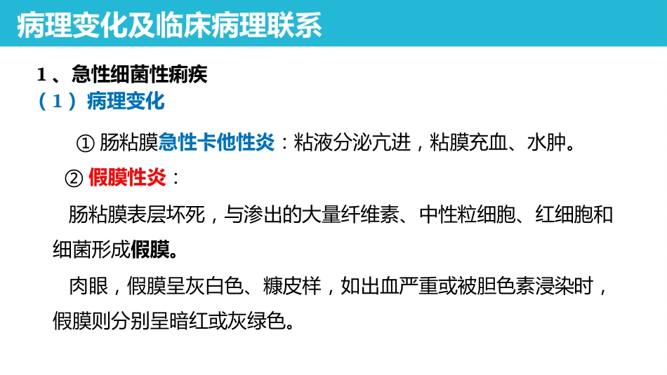 传染病 细菌性痢疾 病理学课件_第7页