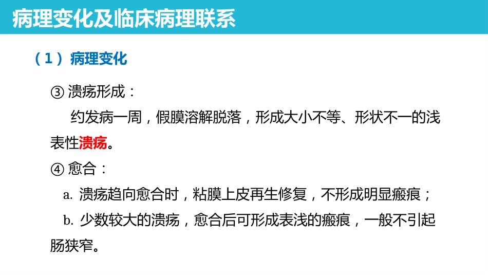 传染病 细菌性痢疾 病理学课件_第9页