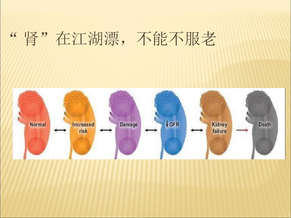 老年肾脏病的诊治进展_第13页
