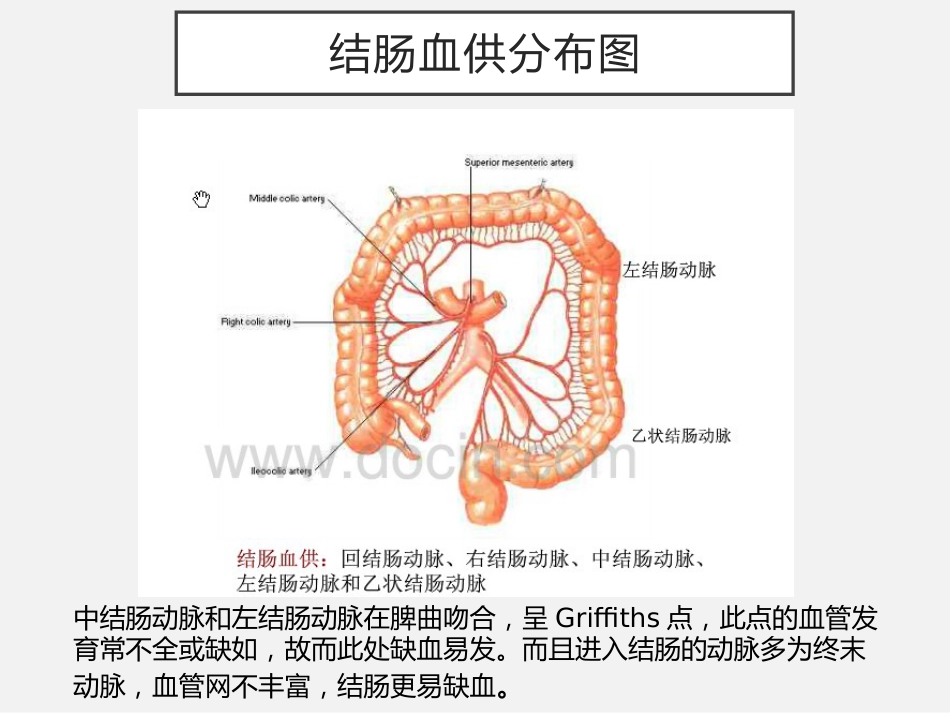 老年人缺血性肠病中国专家建议_第10页