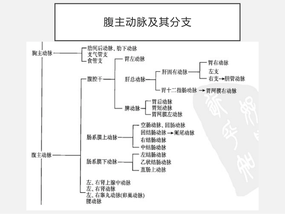老年人缺血性肠病中国专家建议_第3页