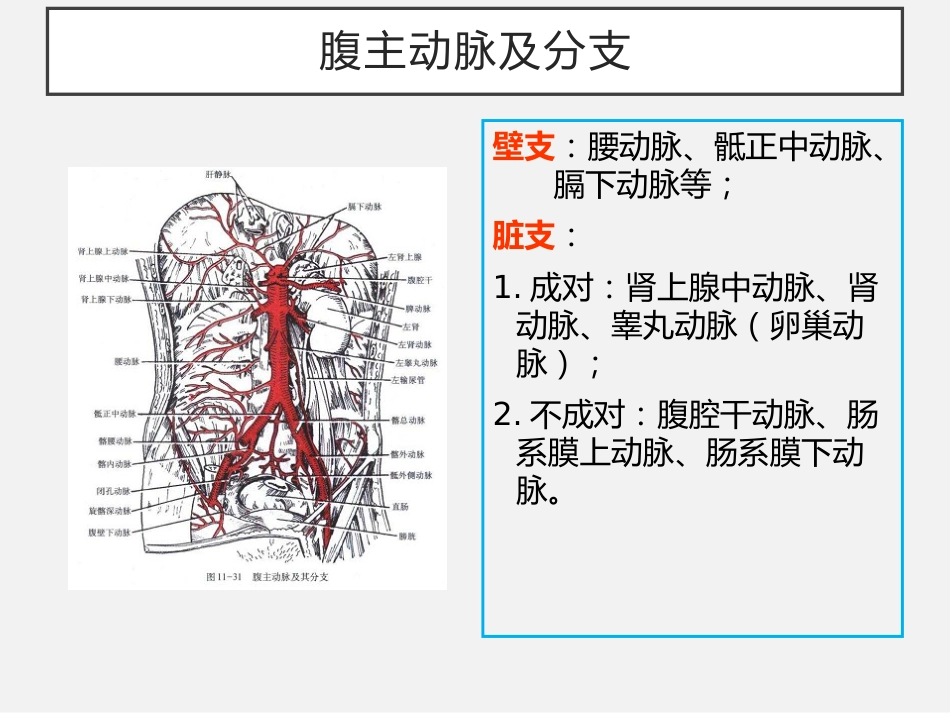 老年人缺血性肠病中国专家建议_第4页