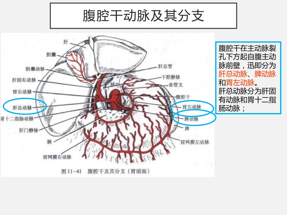 老年人缺血性肠病中国专家建议_第5页