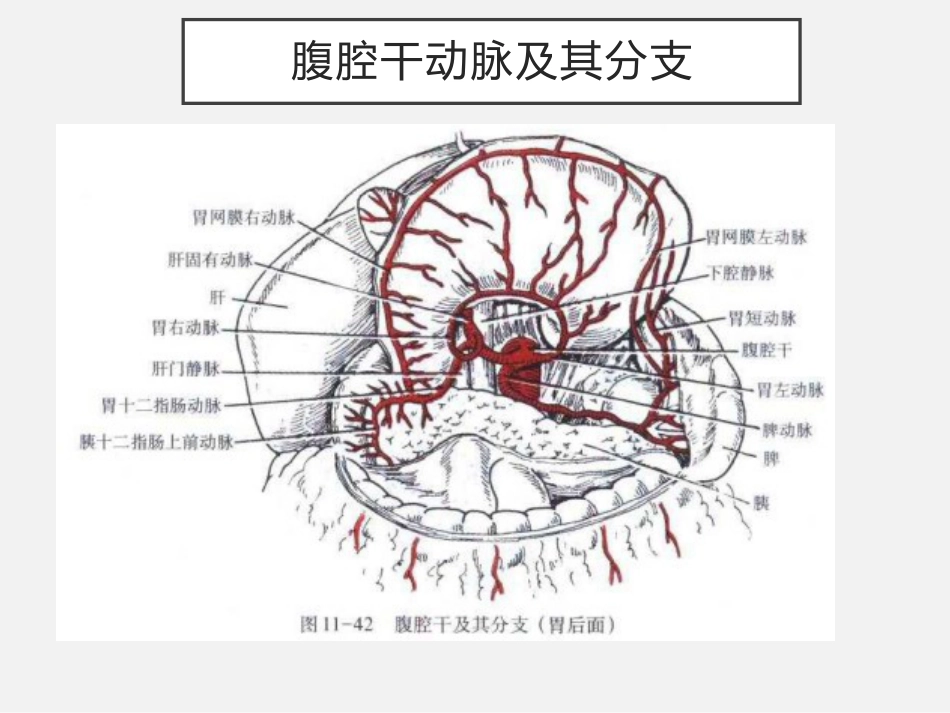 老年人缺血性肠病中国专家建议_第6页
