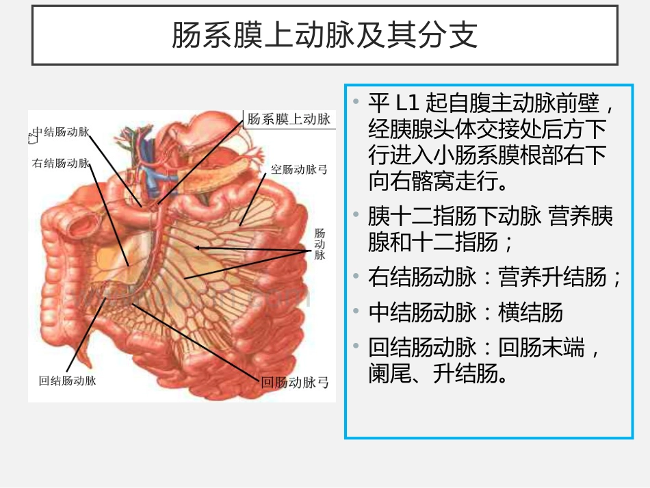 老年人缺血性肠病中国专家建议_第7页