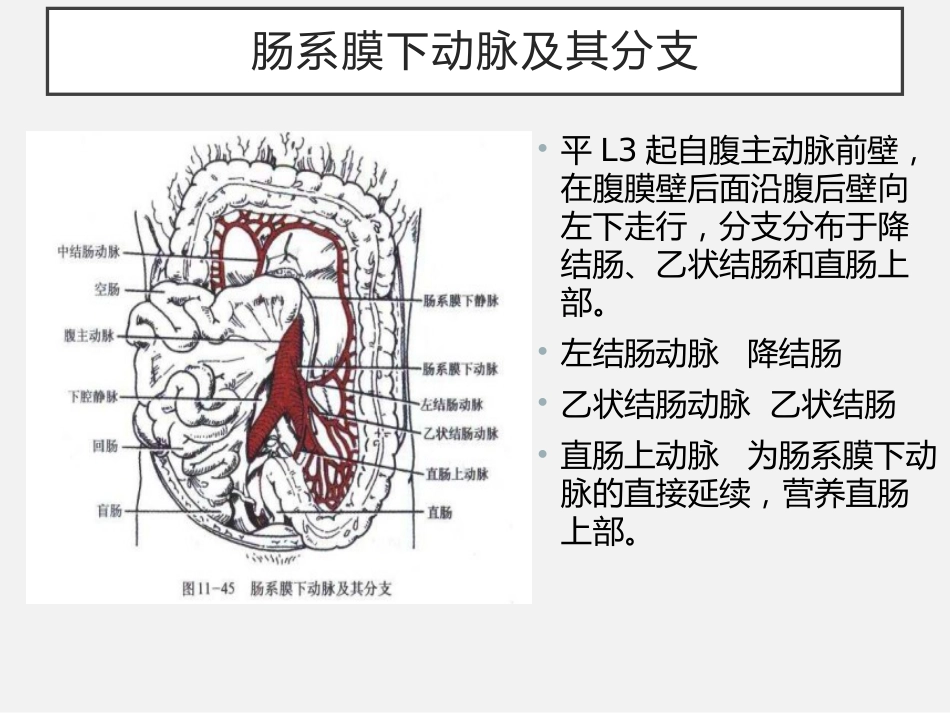 老年人缺血性肠病中国专家建议_第9页