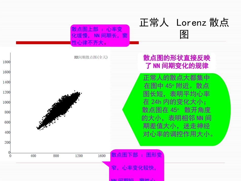 HRV分析的临床应用讲解_第14页