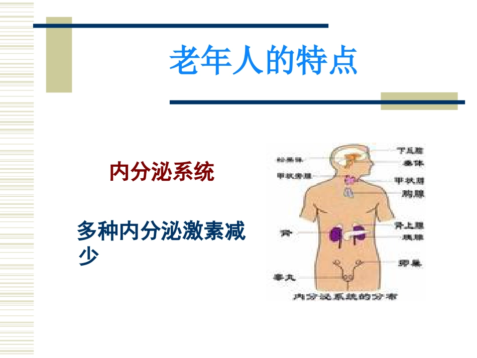 老年生理病理ppt课件_第12页