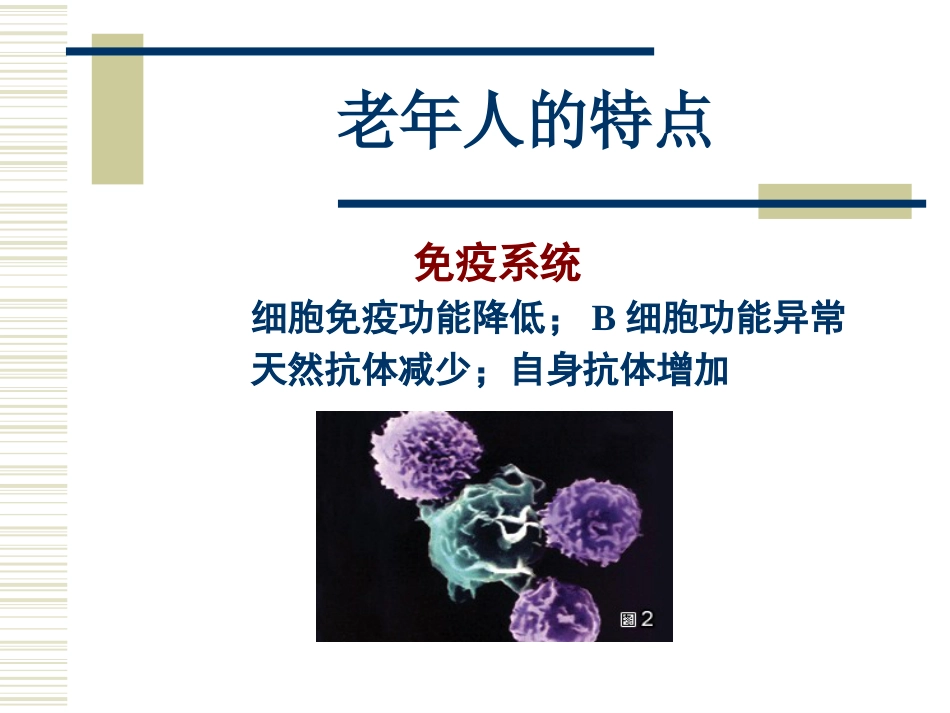 老年生理病理ppt课件_第13页