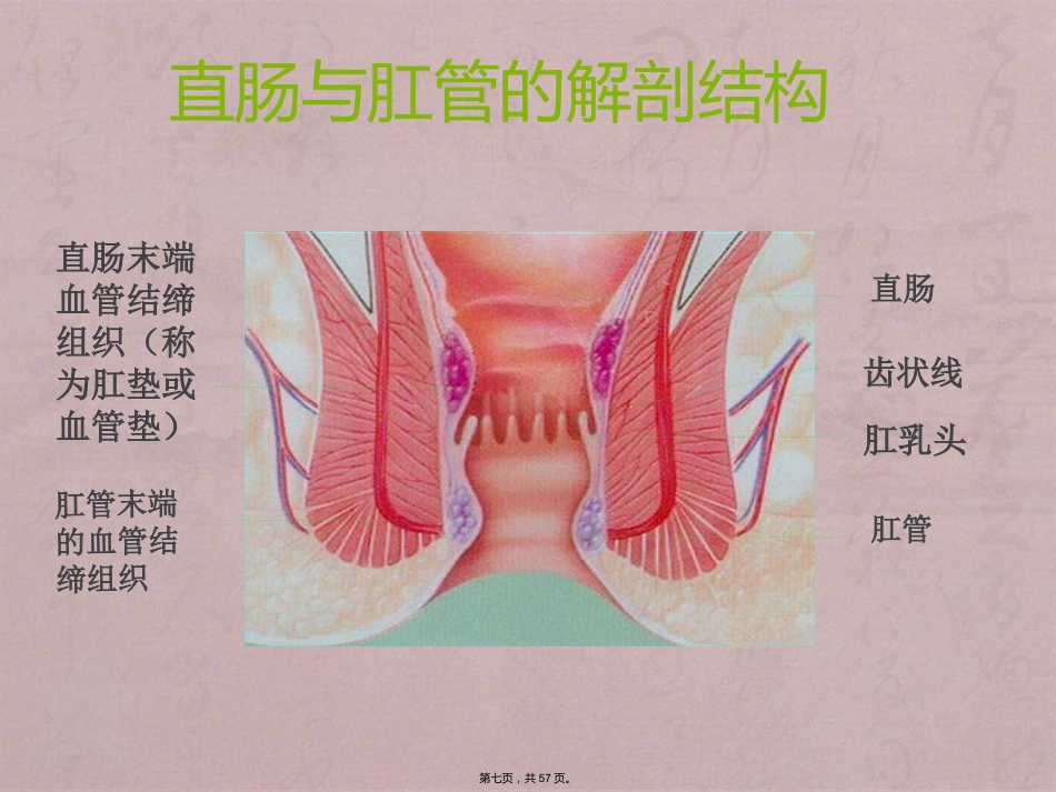 RPH治疗混合痔临床应用_第7页