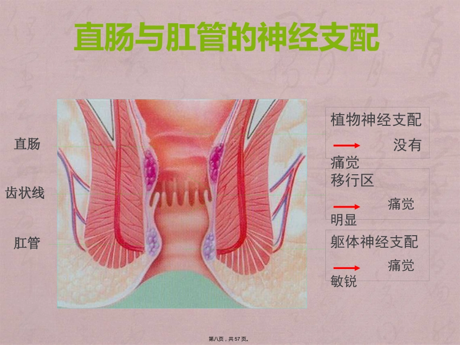 RPH治疗混合痔临床应用_第8页
