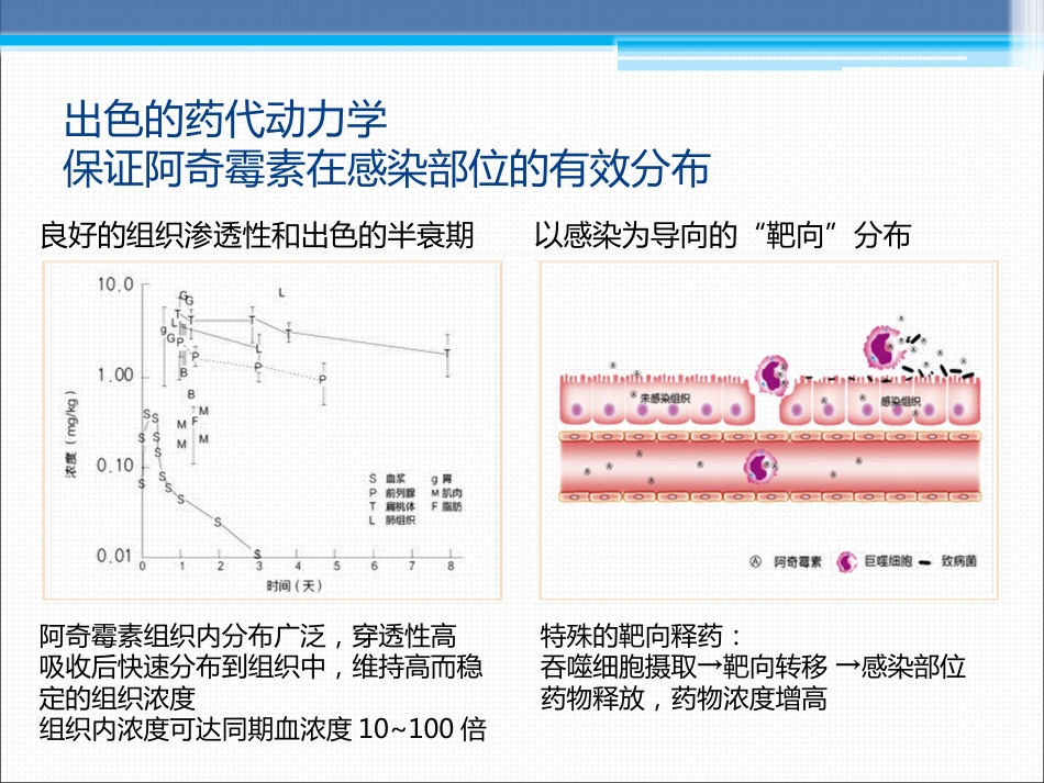 阿奇霉素在临床中的应用_第5页