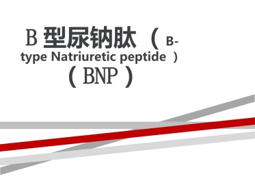 B型钠尿肽的临床意义
