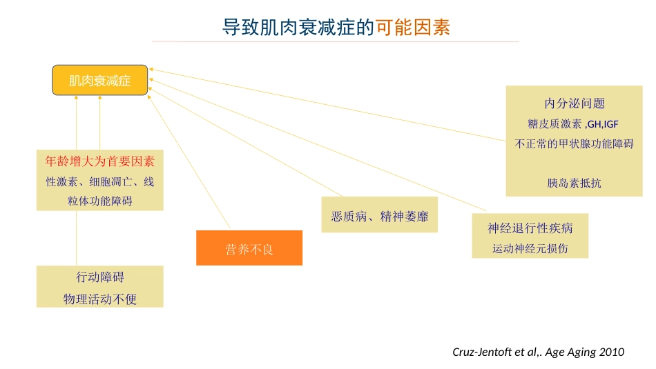 老年肌肉衰减症PPT_第3页