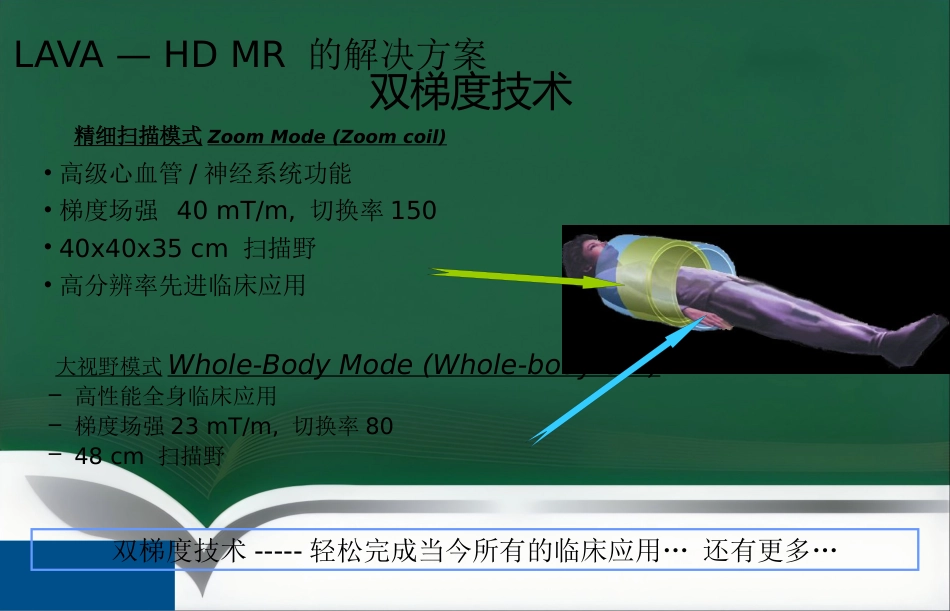 LAVA原理和临床应用ppt_第13页
