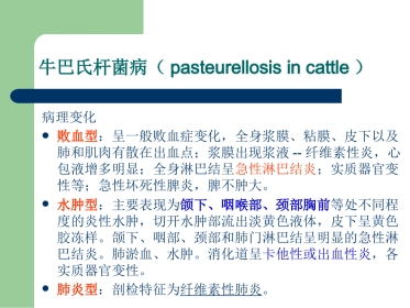 畜禽病理学