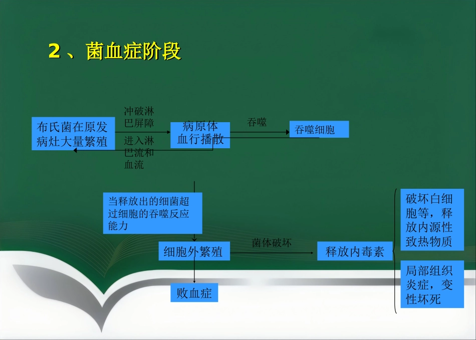 布鲁氏菌病临床诊治优_第8页
