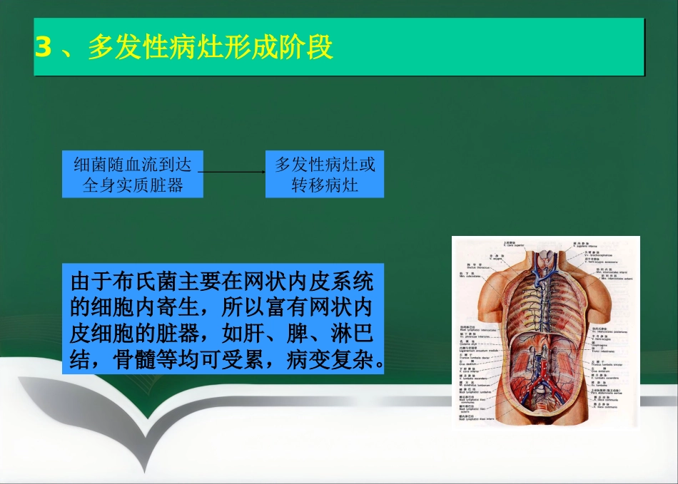 布鲁氏菌病临床诊治优_第9页