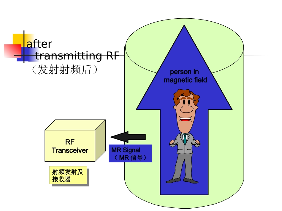 mri的临床应用中枢神经系统及骨骼软组织 ppt课件_第5页